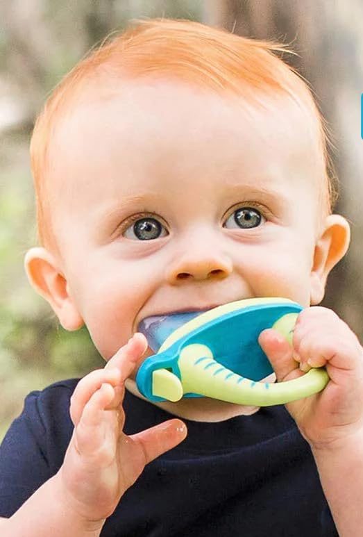 when do kids get molars baby teether