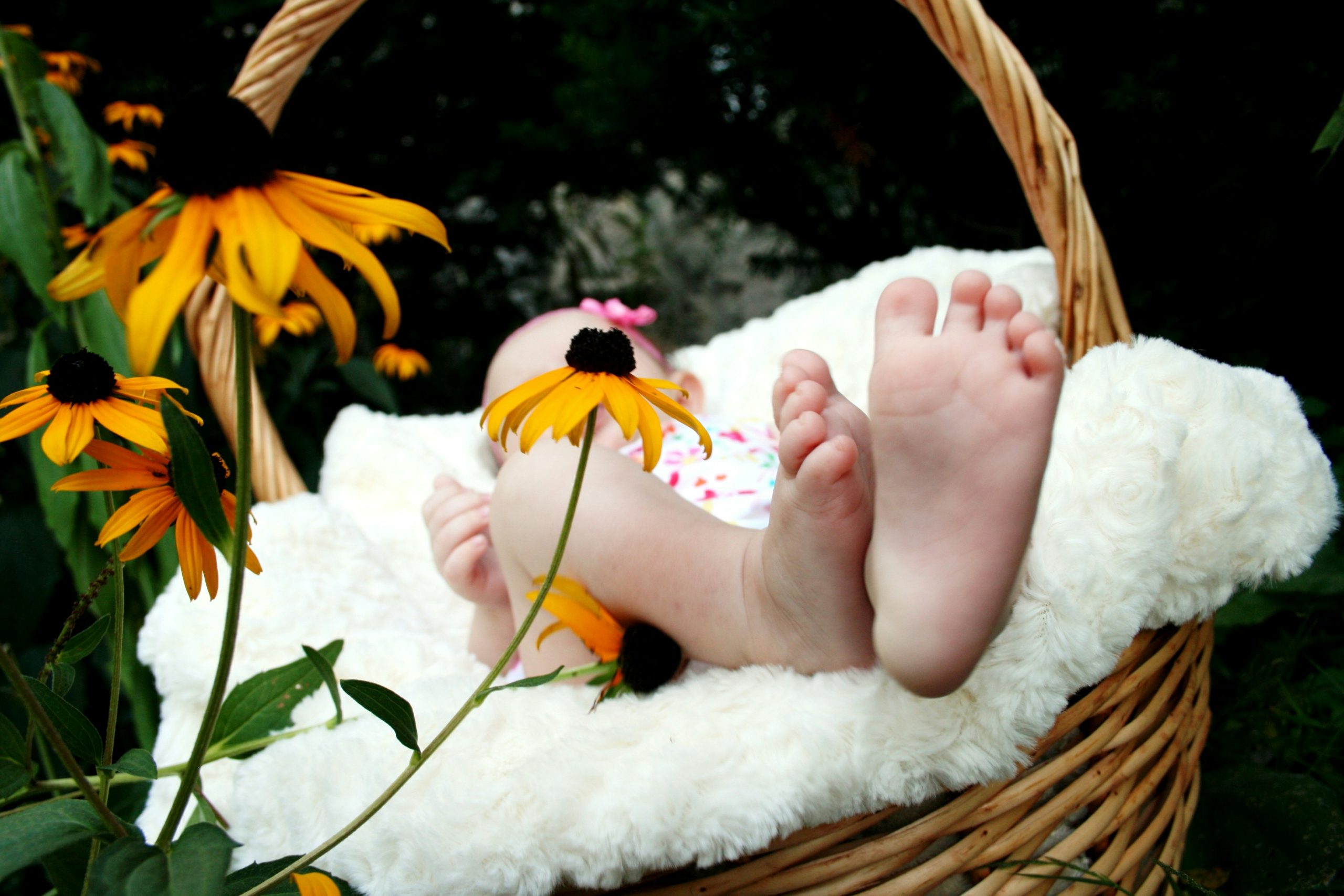 Baby in a wicker basket